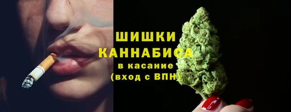 каннабис Богданович